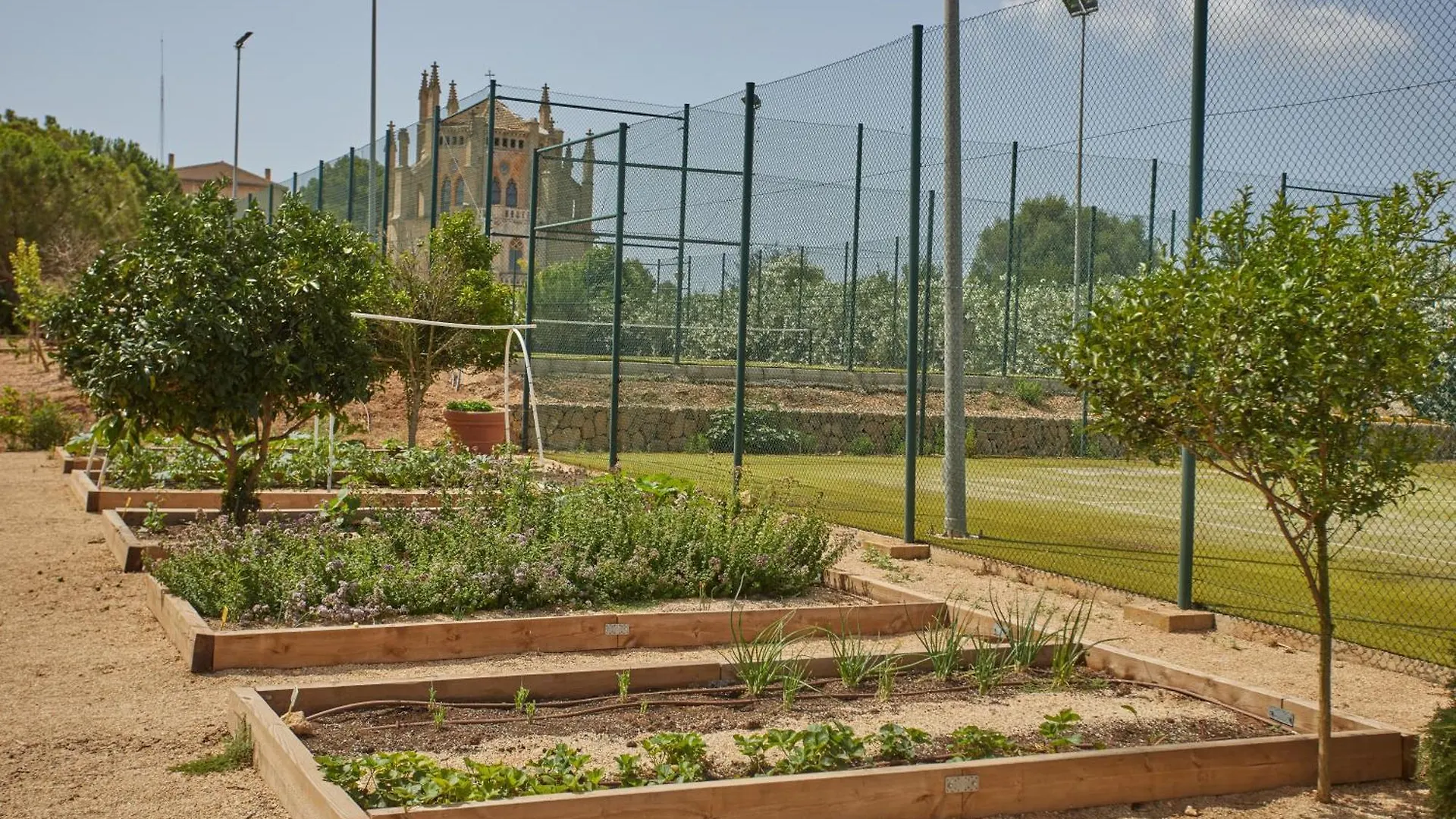Zoetry Mallorca Wellness & Spa (Adults Only) Llucmajor  Llucmajor (Mallorca)